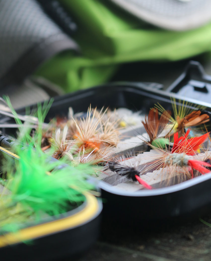 Fishing Pro Deals