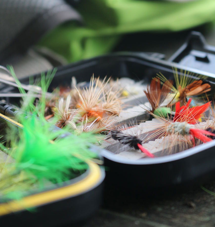 Fishing Pro Deals