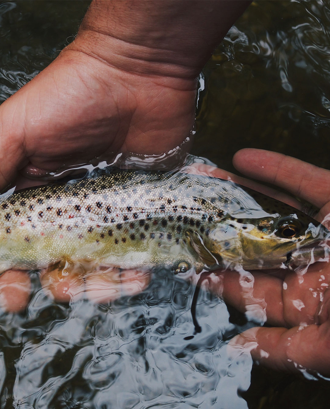 Fishing Pro Deals