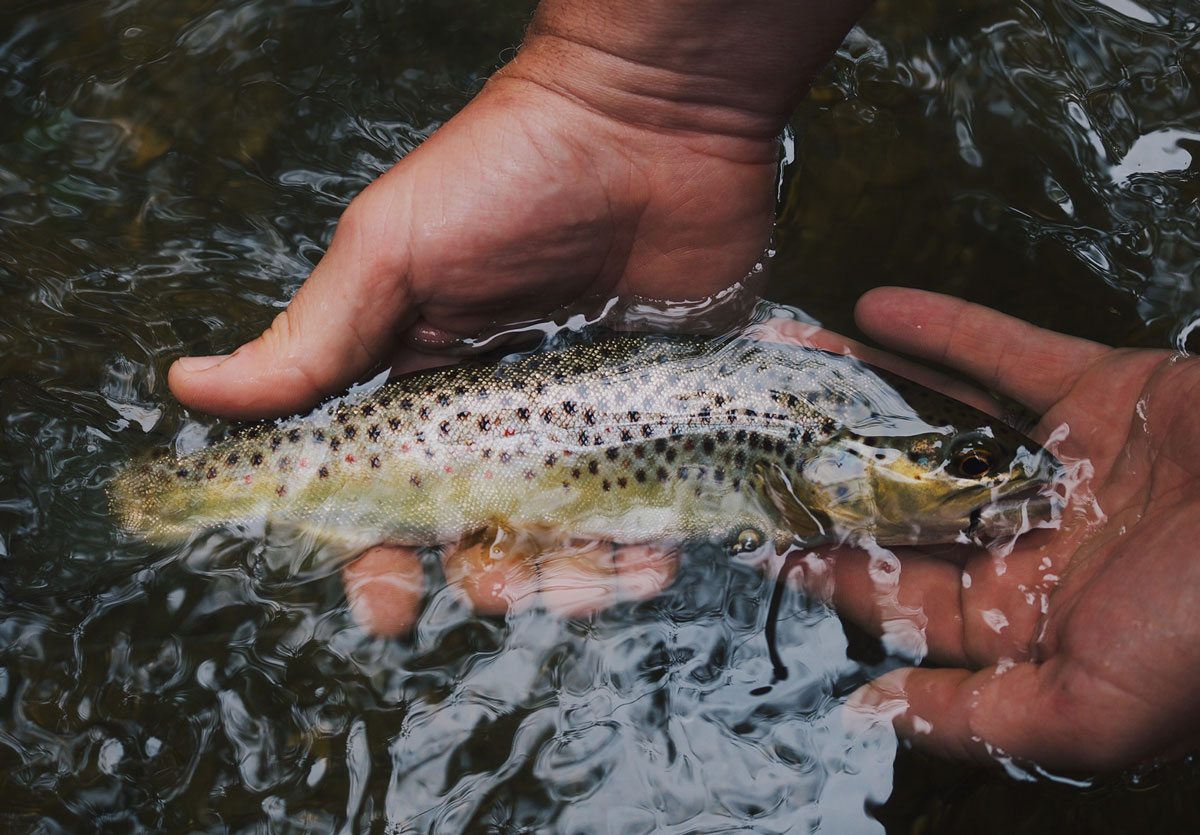 Fishing Pro Deals